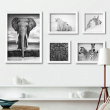黑白动物现代简约装饰画客厅创意玄关照片墙餐厅壁画大象有框挂画