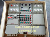 BXD52防爆照明动力控制箱电气柜子工业成套配电开关箱子正品定做