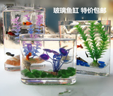包邮 办公桌面玻璃鱼缸小鱼缸时尚超白高款条形鱼缸插花花瓶水培