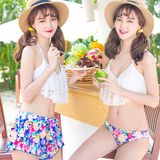 韩国新款泳衣女性感小胸聚拢带钢托带胸垫高腰平角两件套游泳衣