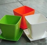 米兰花盘方形花盆四色供选含托盘个性花盆多肉植物仿瓷塑料花盘