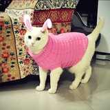 宠物用品宠物服饰猫咪狗狗衣服猫猫衣服秋冬衣服韩版宠物毛衣