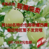 陕西嘎啦青苹果新鲜水果 应季时令纯天然现摘现发自产自销5斤包邮