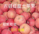 吉县壶口红富士苹果 平安果 新鲜水果纯天然有机苹果 超脆新鲜
