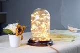 北欧玻璃罩实木台灯复古温馨床头灯 LED个性创意生日礼物酒吧台灯