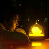 鸟笼灯LED小夜灯 充电可感应灯创意卧室床头喂奶婴儿台灯宝宝触摸