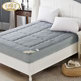 小绵羊家纺 高级炭纤维软床垫 床笠款双人床垫床罩 1.5 1.8m 新品