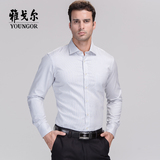 Youngor/雅戈尔专柜正品新款长袖衬衫纯棉免烫商务正装衬衣DP9199