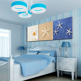现代沙滩贝壳海星装饰画 墙壁挂画 无框画三联画餐厅儿童房卧室