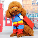 超人变身装宠物秋冬装泰迪狗狗衣服冬季比熊衣服贵宾小狗搞怪服饰