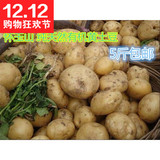 新鲜 土豆高山纯天然土豆马铃薯非转基因农家自种有机蔬菜5斤包邮
