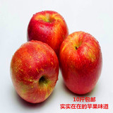 昭通野生丑苹果，冰糖心苹果，新鲜脆甜苹果，30个10斤包邮 小果