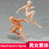 人体美术绘画模型 MaxFactory figma she he 男女素体 肌肤色关节