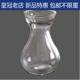园艺用品 玻璃瓶 玻璃容器 风信子/郁金香水培专用 水培玻璃花瓶