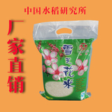 中国水稻研究所大米 雪芝花米有机纯天然特级绿色大米稻花香10斤