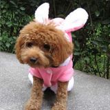 宠物狗狗猫咪衣服 粉色可爱兔耳朵  猫咪泰迪小鹿犬茶杯犬衣服春