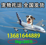 上海浦东 活体宠物狗狗猫咪兔子航空运托运汽运输代办  5kg260