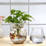 简约迷你小号透明玻璃花瓶餐桌家居茶几摆件水培绿萝花瓶插花器