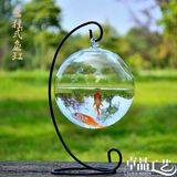 全国包邮创意悬挂式玻璃花瓶鱼缸 透明球形玻璃手工鱼缸