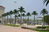 厂家直售弯头假椰子树 人造园林商场露天大型景观工程仿真海藻树