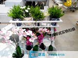 宜家天津代购 家具家居用品 兰利弗植物架白色木制花架置物架 7.7