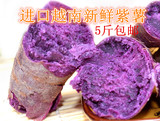 【5斤包邮35元】进口越南新鲜紫薯紫红薯紫番薯紫地瓜有机农产品