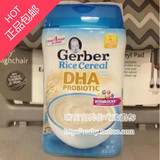 美国代购直邮Gerber嘉宝婴幼儿纯大米米粉一1段DHA益生菌227g*2桶