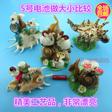天然海螺贝壳动物手工艺品家居装饰儿童玩具厂家直销摆件礼物批发