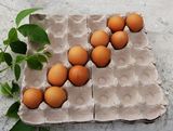 30枚纸浆鸡蛋托纸质鸡蛋托鸭蛋托全国批发