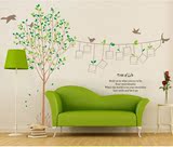 南汐 学校公司企业文化墙照片树卧室客厅温馨英文小鸟相框树贴纸