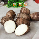 山东农家自种特产新鲜小毛芋头香芋芋艿味道不逊于荔浦芋头哟
