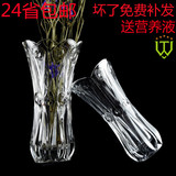 加厚富贵竹花瓶透明大号玻璃花瓶富贵竹插花器居家装饰品客厅摆件