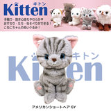 现货包邮kitten日本代购正品猫咪公仔仿真玩偶毛绒玩具猫 附礼袋