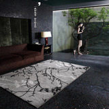 东升正品 简约现代地毯客厅沙发卧室地毯设计师艺术黑白茶几地毯