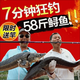 鲟鱼竿黑龙28调碳素台钓竿5.4/6.3米超轻超硬鲤鱼鲫鱼手竿