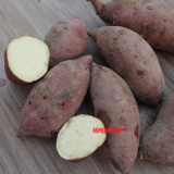 安徽六安霍山农家新鲜生红薯香甜大小番薯生地瓜白薯山芋自种有机