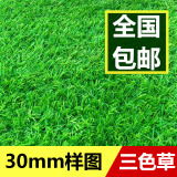 三色草人造草坪仿真草坪塑料假草皮人工草皮加密地毯幼儿园阳台