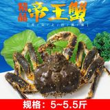 【三塘月色】阿拉斯加帝王蟹鲜活速冻5.0~5.5斤进口海鲜大螃蟹