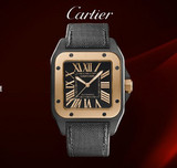 专柜正品全国联保卡地亚CARTIER手表W2020009原装