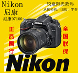 尼康(Nikon) D7100 单反相机 单机身 不带镜头 套机热卖中!