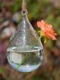 特价 透明水滴形悬挂花瓶小玻璃瓶吊瓶 创意水培花器插花器皿装饰