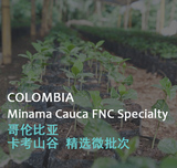 哥伦比亚 Minama Cauca考卡山谷 精选微批次咖啡生豆 1KG