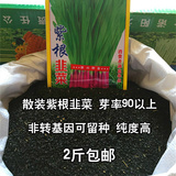 紫根韭菜籽-小香韭菜-蔬菜种子- 多年多次采收-补肾保健-散装特价