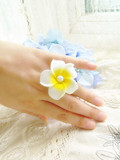 特价 韩版女饰品珍珠鸡蛋花戒指 指环拍照度假花朵大小可调关节戒