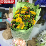 向日葵同城鲜花速递上海北京母亲节全国送花上门太阳花圣诞节重庆