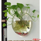 创意壁挂水培吊篮绿萝吊兰花盆花瓶花卉植物盆景绿植盆栽花器塑料