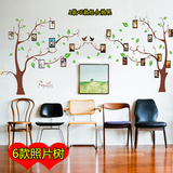 包邮 环保创意三代可移除照片树墙贴 客厅书房过道走廊相片绿树贴