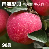 曾曾果园原生态新鲜新疆阿克苏苹果冰糖心有机苹果水果 包邮 90果