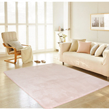 现代客厅茶几丝毛地毯 卧室满铺床边毯 榻榻米门厅长方形地垫定制