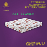 武汉包邮乐士双人席梦思弹簧经济型软硬两1.81.5米PK联乐床垫